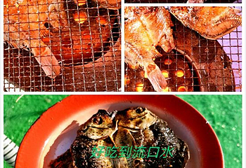 拉市海海美达巴骑马场第 10 张图片