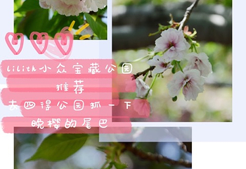 四得公园第 17 张图片