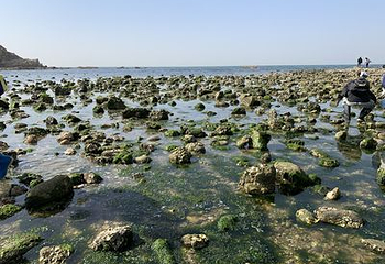 小石岛第 28 张图片