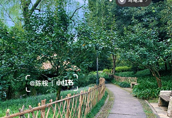 乌龟潭景区第 6 张图片