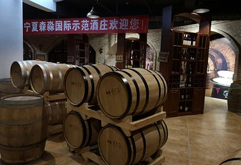 银川森淼生态旅游区第 29 张图片