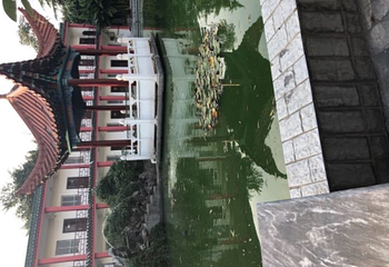 南阳医圣祠第 14 张图片