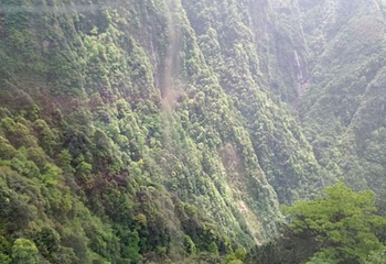 明月山维景国际温泉第 43 张图片