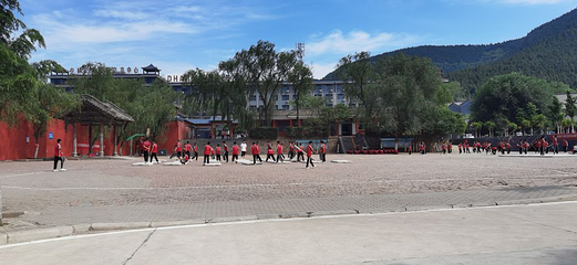神州牡丹园第 27 张图片