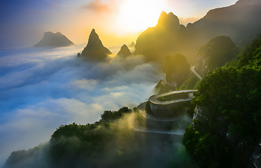 天门山国家森林公园第 55 张图片