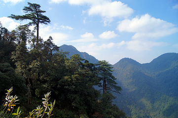 莽山旅游区国家森林公园第 91 张图片