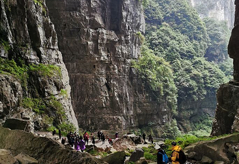 龙水峡地缝第 59 张图片