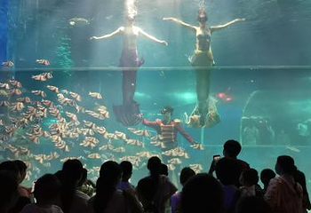 开封极地海洋世界第 16 张图片