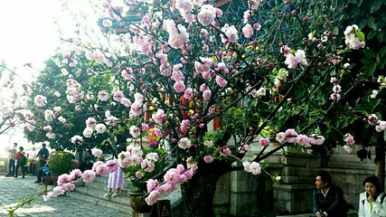 丽水古街第 81 张图片