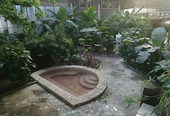 美泉世界温泉第 24 张图片