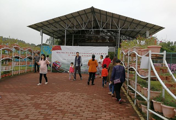 大埔围美丽乡村景区第 9 张图片