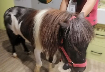 正佳自然科学博物馆第 56 张图片