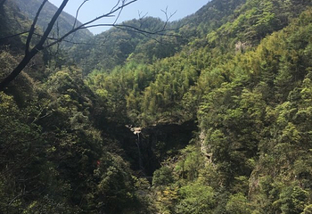 安吉龙王山风景区第 25 张图片