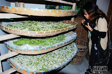 东方丝博园第 9 张图片