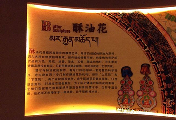 青海藏文化博物院第 181 张图片