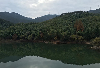黄柏山国家森林公园第 32 张图片
