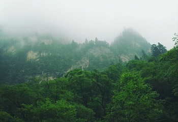山里泉旅游区第 23 张图片