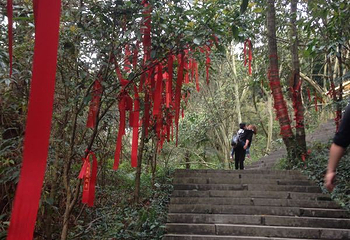 株洲酒埠江仙人桥旅游区第 9 张图片