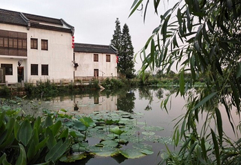 南京杨柳湖风景区第 17 张图片