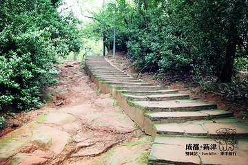 老君山第 32 张图片