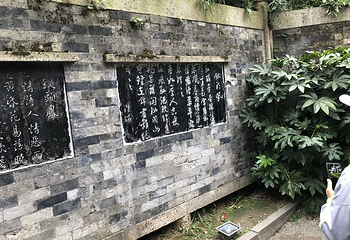 沈园第 110 张图片