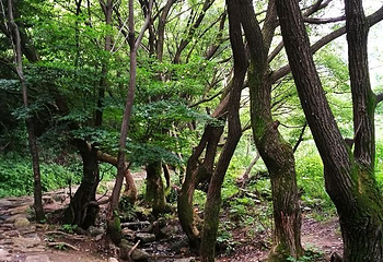 流峪飞峡第 14 张图片
