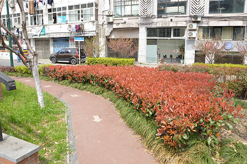 苏州河第 61 张图片