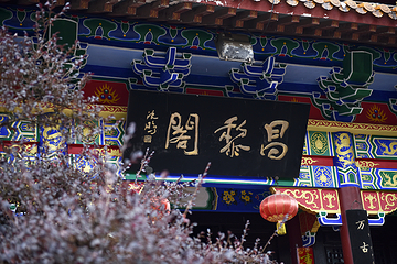 袁山公园第 11 张图片