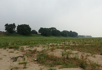 砚洲岛第 12 张图片