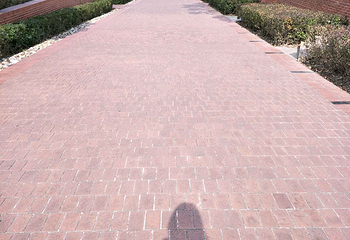 四川北路公园第 4 张图片