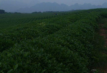 九峰山风景区第 33 张图片