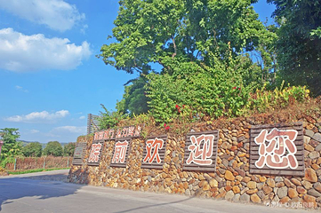 青礁村院前社第 5 张图片