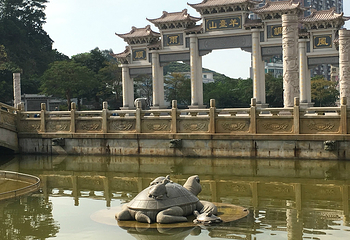阳台山森林公园第 9 张图片