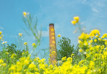 青岛西海岸生态观光园第 25 张图片