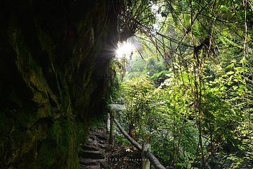 桫椤峡谷景区第 17 张图片