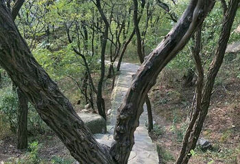 烟台天崮山第 40 张图片