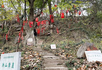 宝通禅寺第 25 张图片