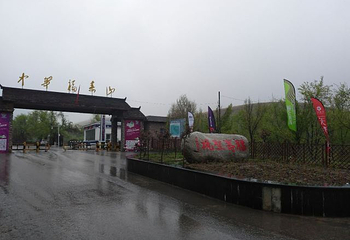 中华福寿山景区第 19 张图片