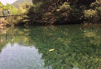 龙坞仙境第 83 张图片