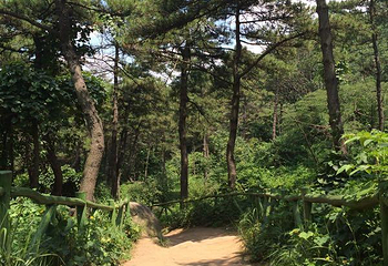 沂源南鲁山风景区第 24 张图片