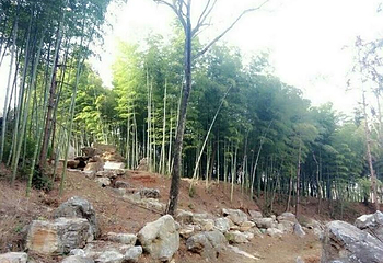 鹿门山景区第 21 张图片
