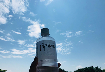 船帆石第 10 张图片