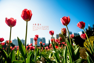温泉公园第 24 张图片
