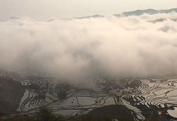 多依树梯田第 17 张图片