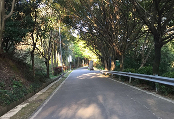 安溪凤山风景旅游区第 10 张图片