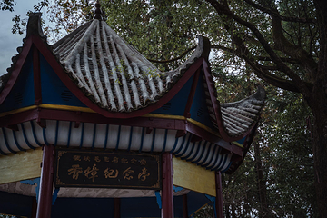 岜沙苗寨第 42 张图片