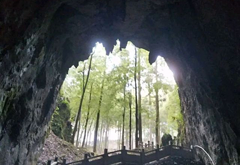 瑶琳国家森林公园第 50 张图片