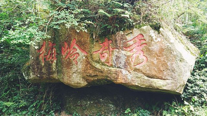 梅岭国家级风景名胜区第 48 张图片