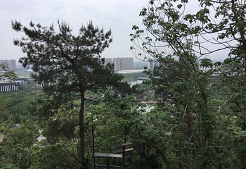 镜湖国家城市湿地公园第 26 张图片