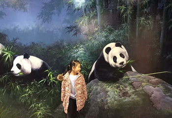 大连奇幻艺术体验馆第 13 张图片